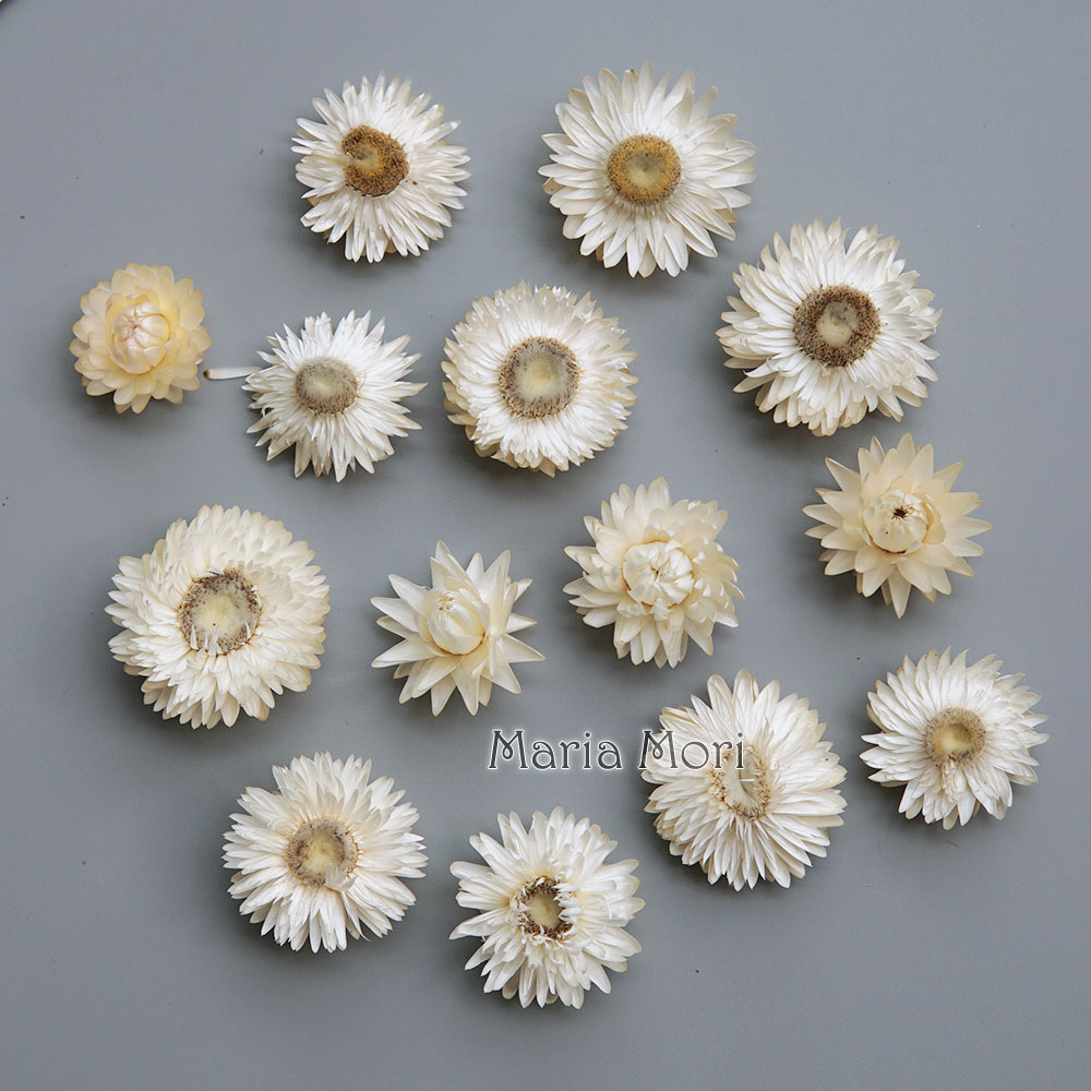 Natural Dried Colorful Chrysan - Candle Making Diy 评论和价格