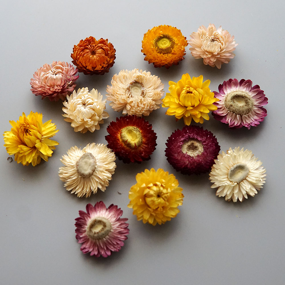 Natural Dried Colorful Chrysan - Candle Making Diy 评论和价格