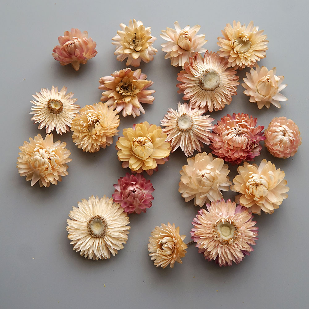 Natural Dried Colorful Chrysan - Candle Making Diy 评论和价格