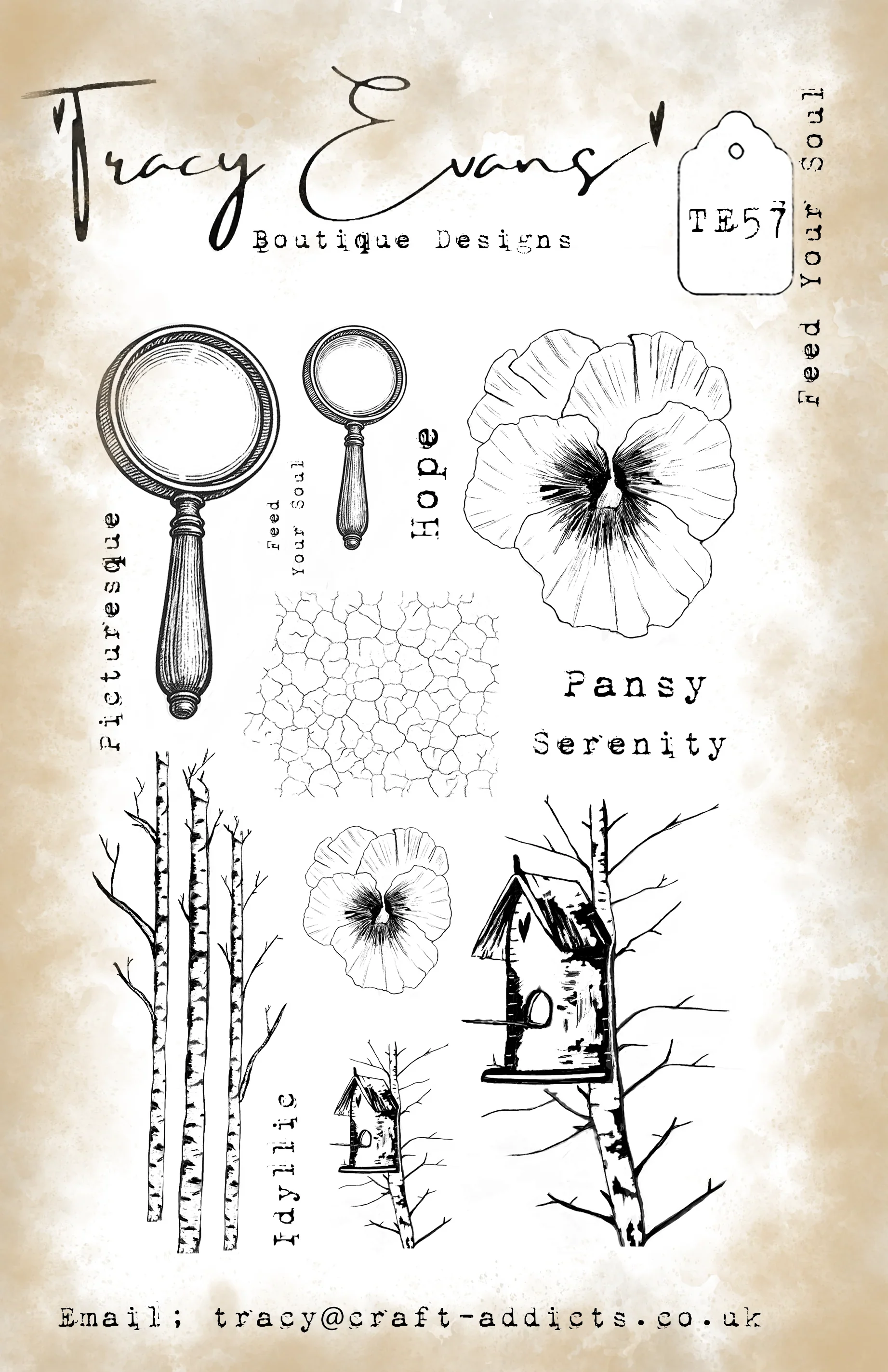 The Beauty of a Flower Metal C - Candle Making Books For Beginners 评论和价格